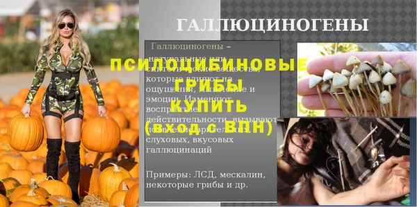 трава Алзамай