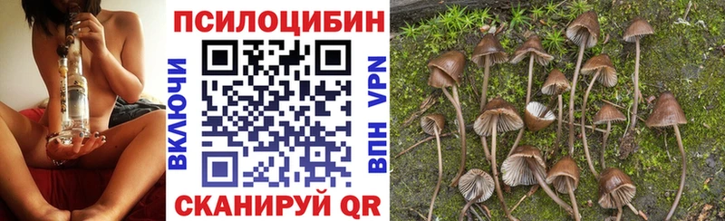 блэк спрут маркетплейс  Гуково  Галлюциногенные грибы Cubensis 