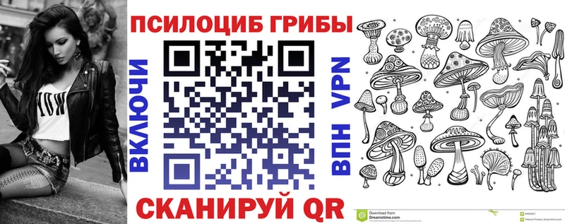 Псилоцибиновые грибы Psilocybe Гуково
